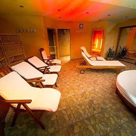 Wellness Ceder 4*