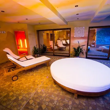 Wellness Ceder