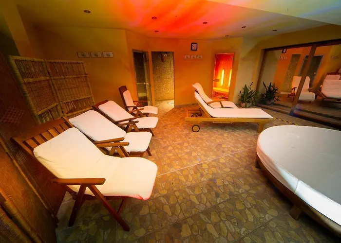 Pensionat Wellness Ceder 4*