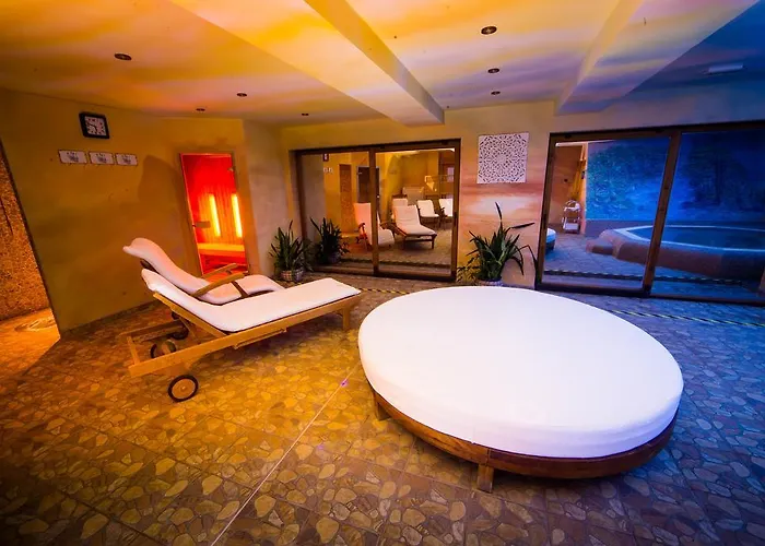 Wellness Ceder